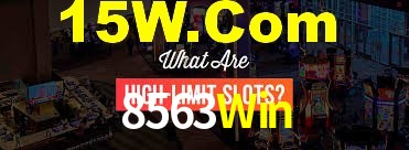 Premium Interface 8563Win